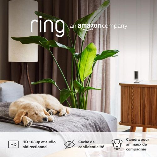 top camera surveillance animaux